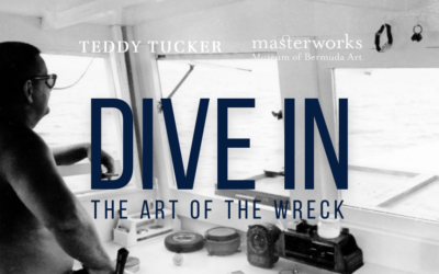 Dive In: The Art of the Wreck