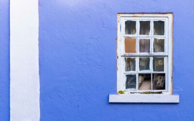 Unveiling the Present Moment: Mindful Photography Workshops | Jul 9 & 16