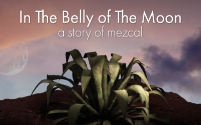 In the Belly of the Moon film Screening and Mezcal Tasting | July 12