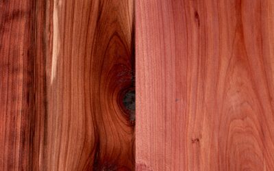 Unlock your Craft: Woodworking with Theo Rehbach | Wednesdays, Oct 30 – Nov 20