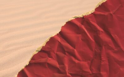 Afterschool Series: TEXTURE | Sep 17 – Nov 27