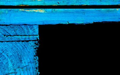 Unveiling the Present Moment: A Mindful Photography Workshop | Oct 17 & Nov 23