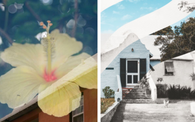 Over & Over | Feb 7 – Mar 4