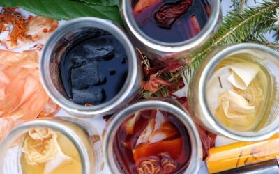 Natural Pigments with Kimberley Fisher | Oct 11