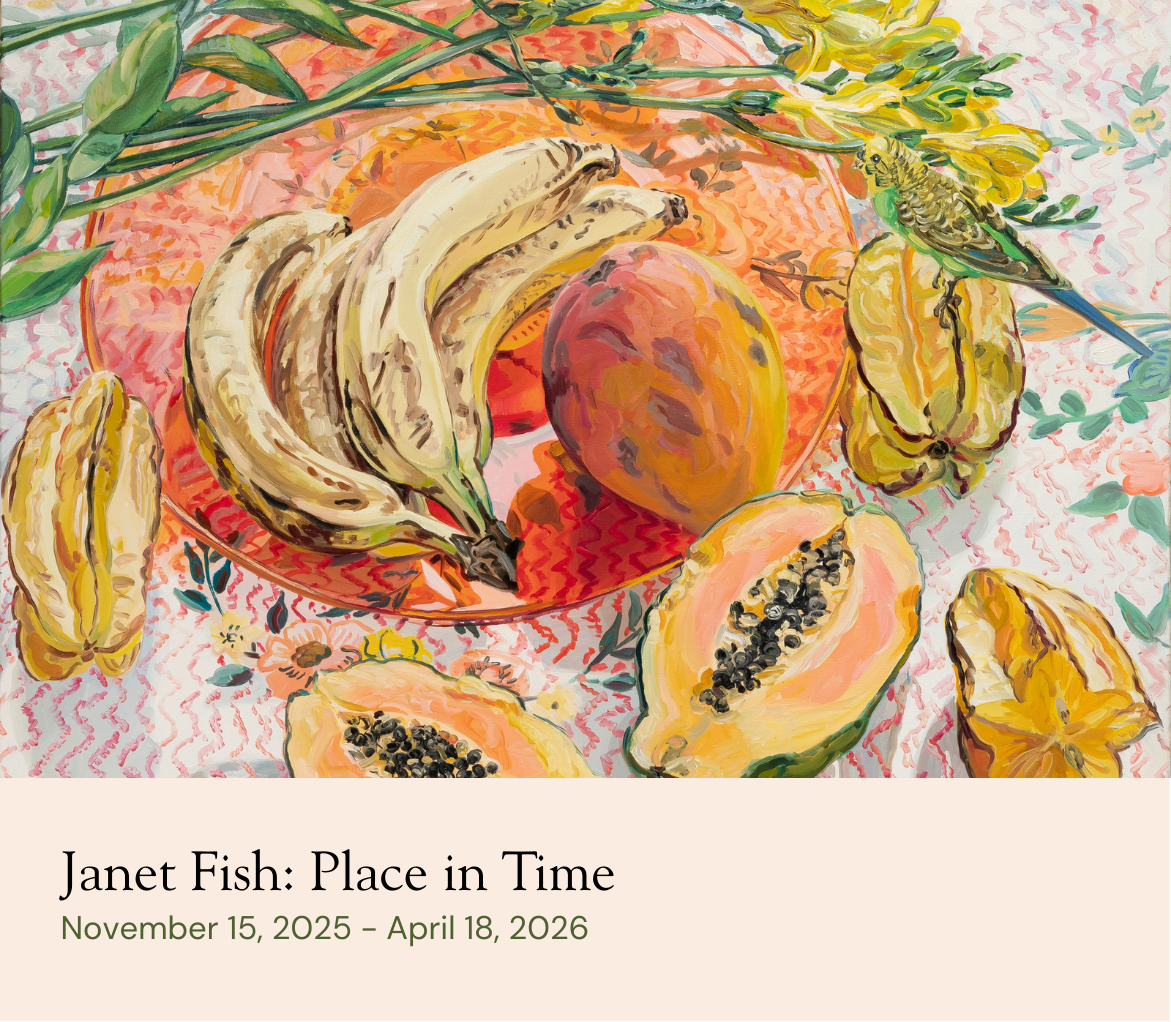 Janet Fish Place in Time (New website)